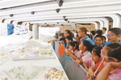 澳门渔岙棋牌网站冬奥展示中心首次对中小学生开放